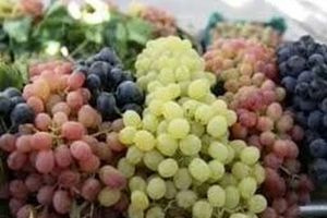 خواص معجزه آسای این میوه بهشتی برای سلامت قلب و مغز