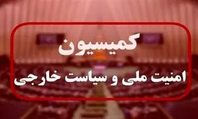 سعیدی: طرح خروج از NPT روی میز کمیسیون امنیت ملی/ نشست با لاریجانی با محوریت تقویت همصدایی نظام بود