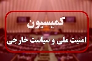 سعیدی: طرح خروج از NPT روی میز کمیسیون امنیت ملی/ نشست با لاریجانی با محوریت تقویت همصدایی نظام بود