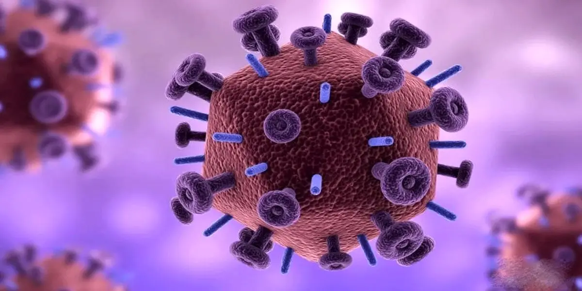 اولین اقدام برای مقابله با بیماری های ویروسی چیست؟