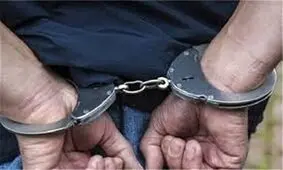 سارقان خشن تلفن همراه و اشیای قیمتی در مشهد دستگیر شدند/عکس
