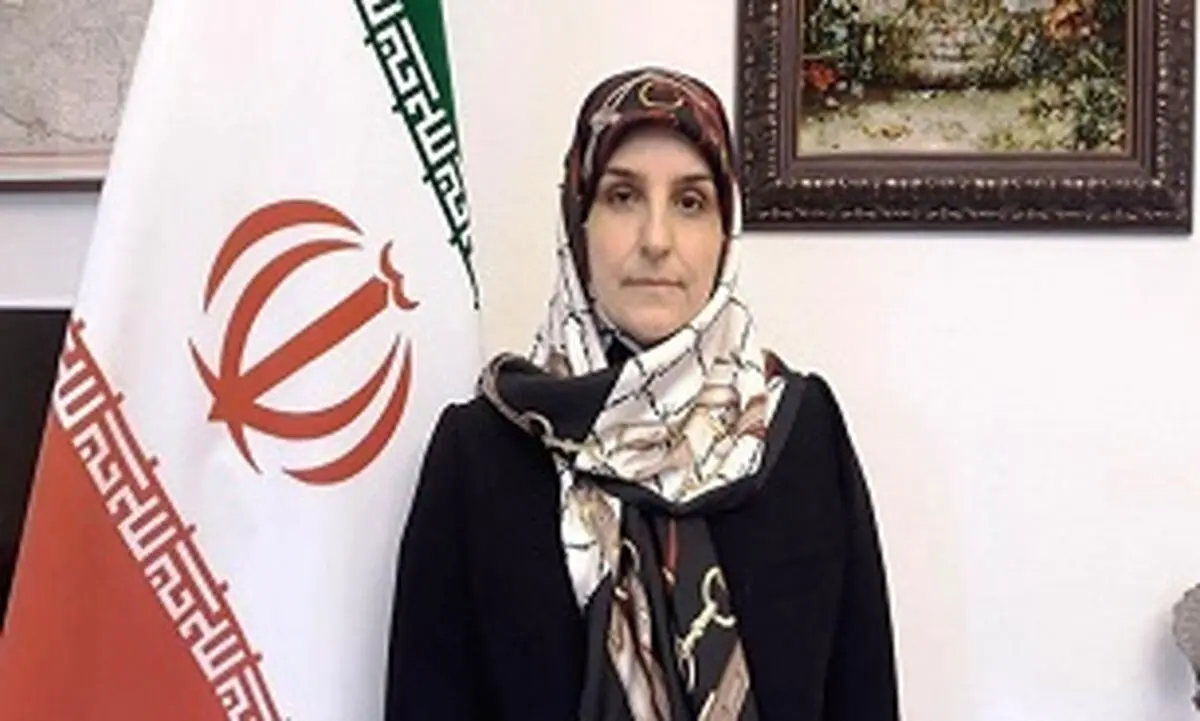 جزئیات حمله به سفارت ایران در دانمارک از زبان سفیر

