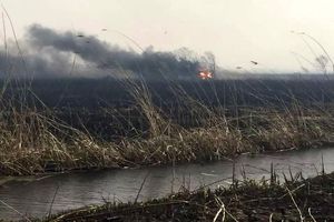 دود آتش سوزی هورالعظیم برخی شهرهای خوزستان را فراگرفت/ حریق مهار شده است