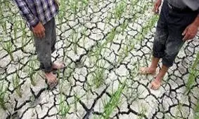 کدام کشورها در معرض تنش غذایی قرار دارند؟