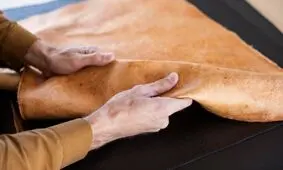 تولید چرم گیاهی از قارچ