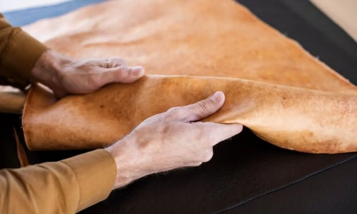 تولید چرم گیاهی از قارچ