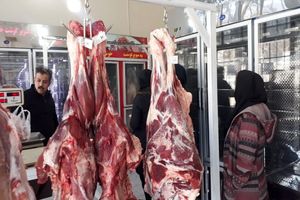 افزایش واردات تنها راهکار کاهش قیمت گوشت در بازار است