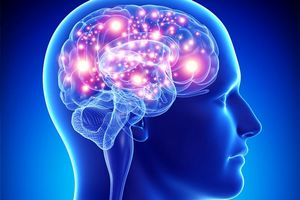 تمایل مغز انسان به ایجاد حافظه کاذب