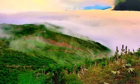 پایان کابوس آتش در گلستان؛ جنگل‌های هیرکانی نجات یافتند
