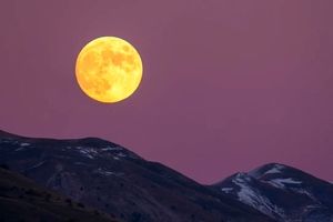 چرا نباید تماشای «ماه» امشب را از دست داد؟
