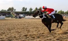 با دستور دیوان عدالت، حکم سرپرستی فدراسیون سوارکاری ابطال شد!

