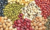 چرا قیمت لوبیا چیتی سر به فلک کشید؟

