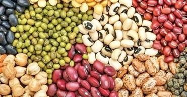 چرا قیمت لوبیا چیتی سر به فلک کشید؟

