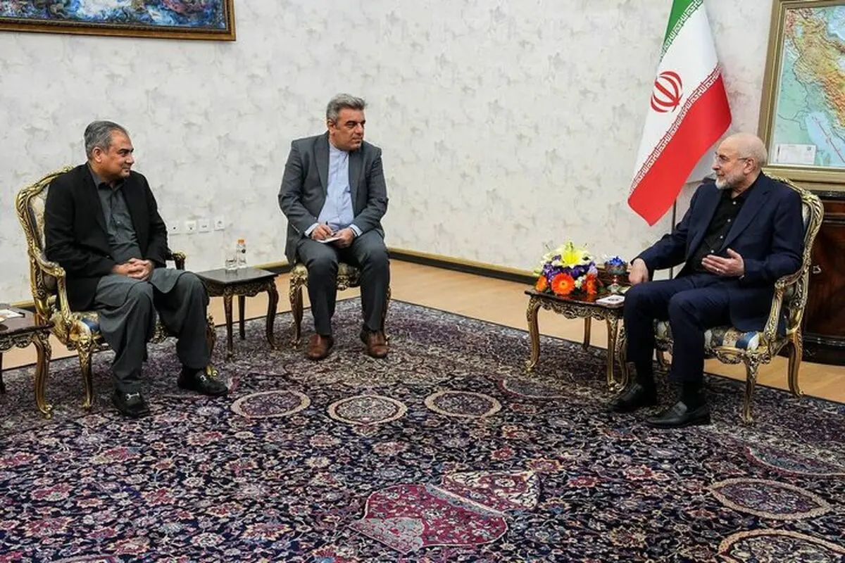 دیدار وزیر کشور پاکستان با قالیباف/ تصاویر

