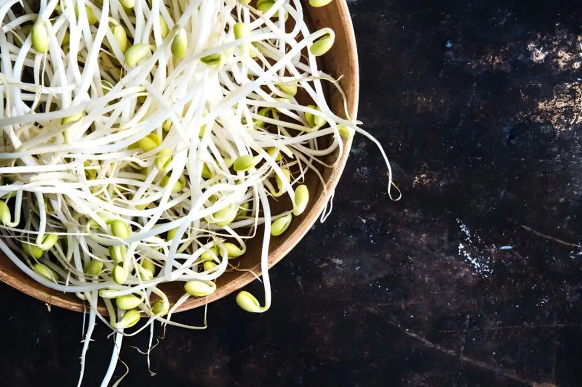 خواص جوانه های لوبیا برای استخوان و سیستم ایمنی