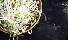 خواص جوانه های لوبیا برای استخوان و سیستم ایمنی