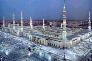 ملخ‌ها، مهمانان ناخوانده صحن مسجد النبی/ ویدئو

