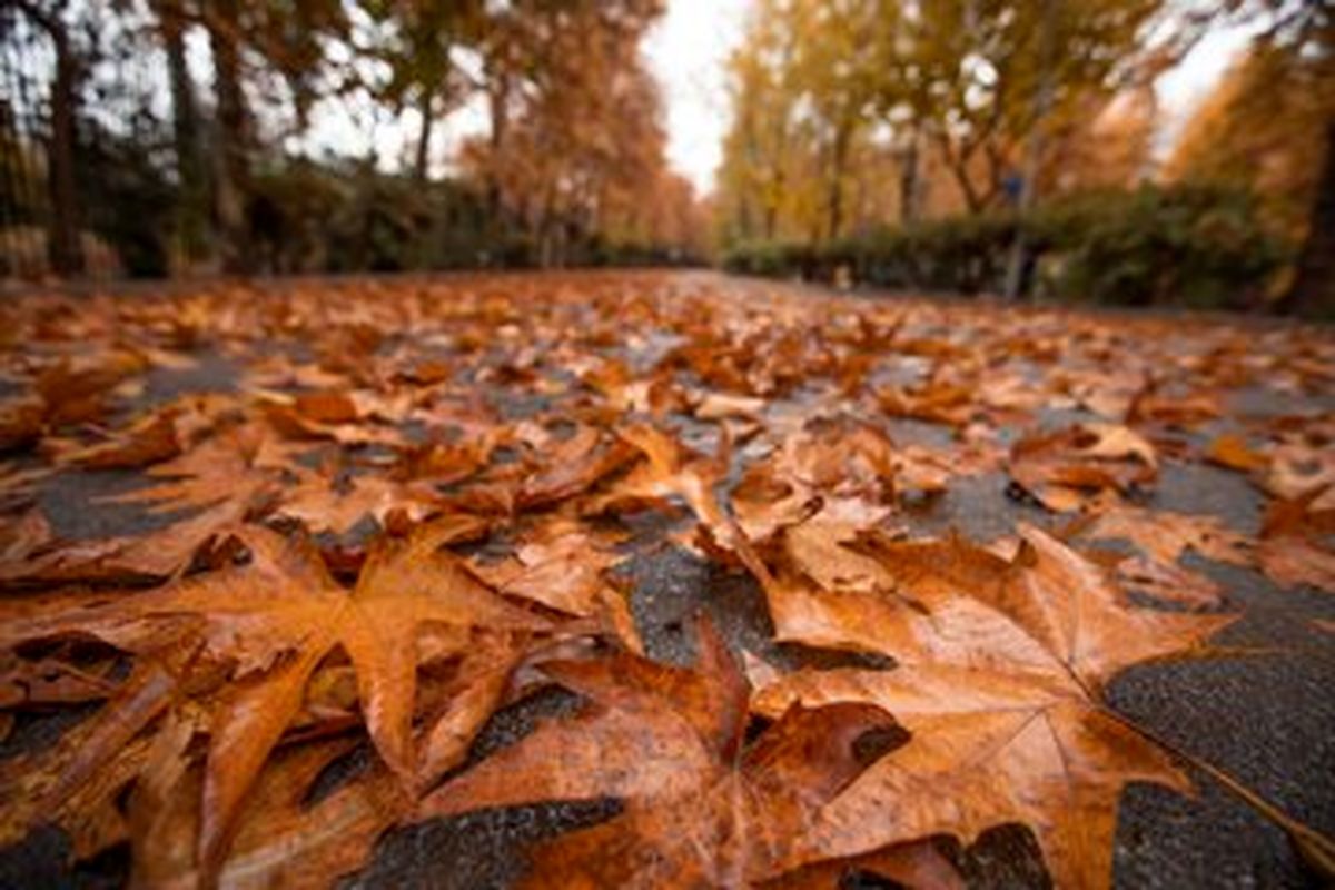 پاییز دیرتر از حد معمول آغاز می‌شود؟