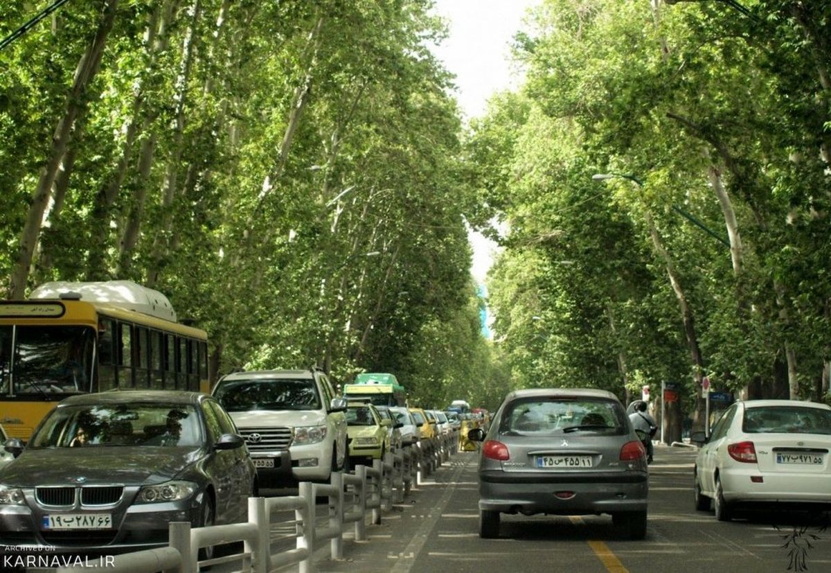 طولانیترین خیابان تهران در سال ۱۳۱۶؛ کاشت ۱۸ هزار چنار در این خیابان/ تصویر