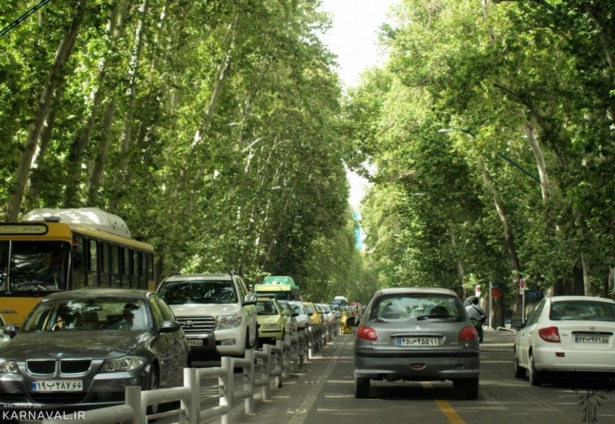 طولانی‌ترین خیابان تهران در سال ۱۳۱۶؛ کاشت ۱۸ هزار چنار در این خیابان/ تصویر