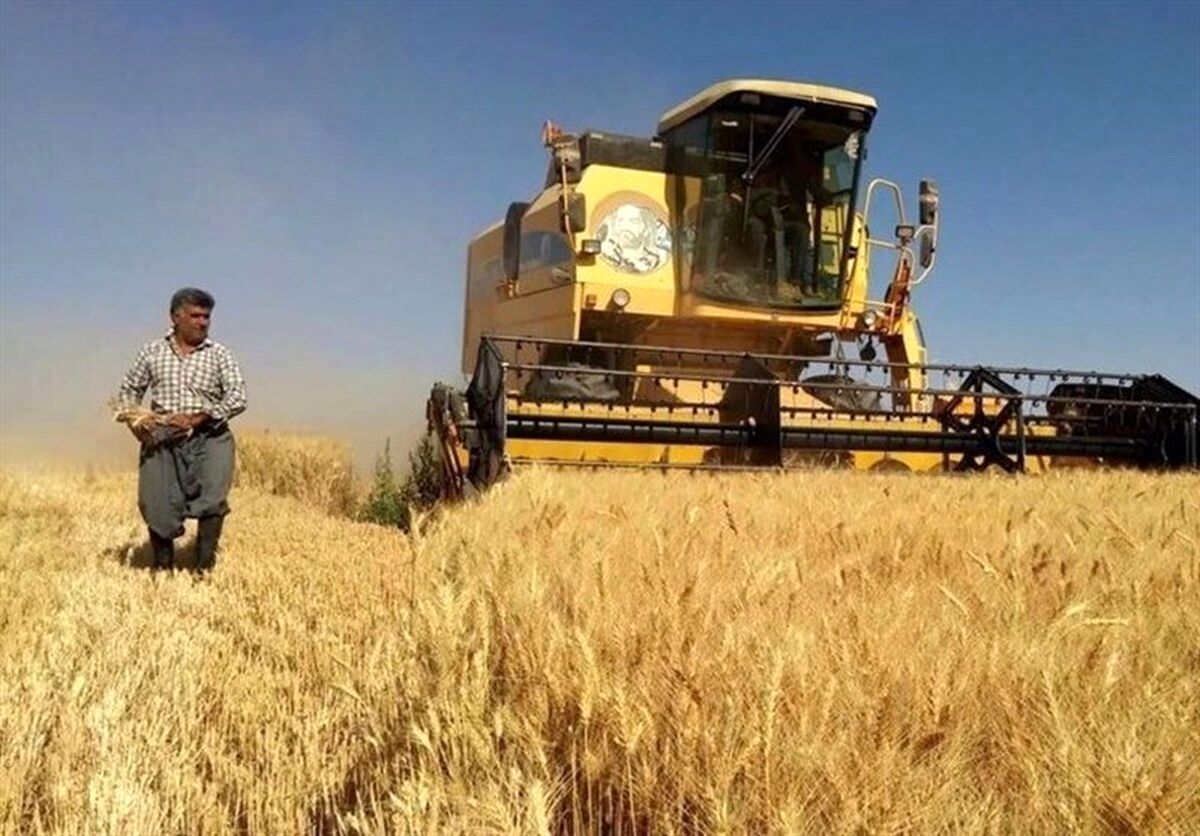 اولتیماتوم یک هفته‌ای مجلس به وزیر کشاورزی برای اعلام قیمت گندم
