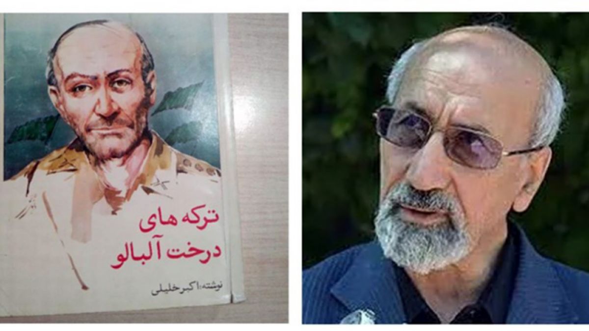نویسنده کتاب پرفروش «ترکههای درخت آلبالو» درگذشت