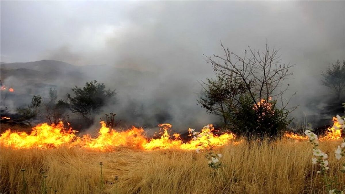 آتش سوزی در مراتع طبیعی خراسان شمالی کاهش یافت