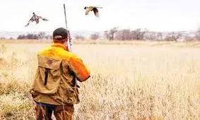 شکار پرنده جان رفیق را گرفت