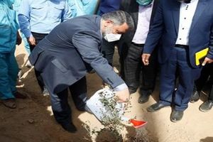 شهردار اهواز در جشن بزرگ هفته درختکاری: گونه های اصیل گیاهی باید به اهواز بازگردد

