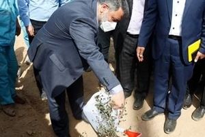  شهردار اهواز در جشن بزرگ هفته درختکاری: گونه های اصیل گیاهی باید به اهواز بازگردد

