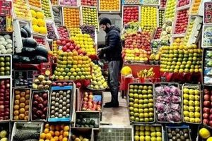 میوه شب عید حداقل ۳۰ درصد ارزان تر از بازار خواهد بود