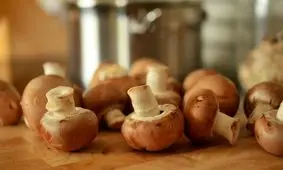 چرا بهتر است قارچ بیشتری مصرف کنیم؟ 