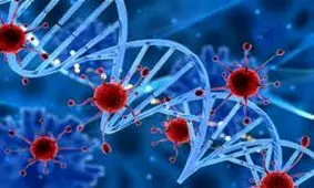 ضرورت به تاخیر افتادن بازگشایی مدارس تا رسیدن به شرایط واکسیناسیون