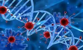 ضرورت به تاخیر افتادن بازگشایی مدارس تا رسیدن به شرایط واکسیناسیون