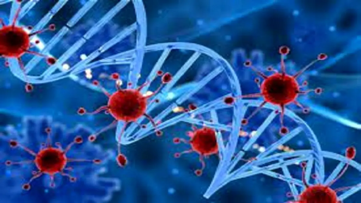 ضرورت به تاخیر افتادن بازگشایی مدارس تا رسیدن به شرایط واکسیناسیون