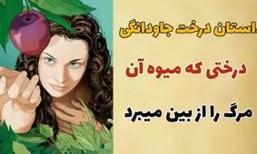 حکایت درخت جاودانگی از مثنوی معنوی/ درختی که میوه اش مرگ را از بین میبرد