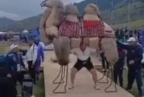حمل شتر ۴۰۰ کیلویی توسط فرامرز رحمانی