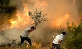 ۷۲ ساعت جدال با آتش در گرمای ۵۰ درجه/حریق در پلدختر مهار شد