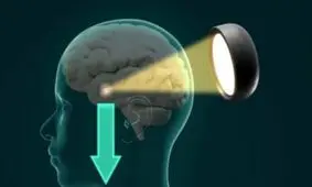 ابداع خواب زمستانی برای انسان ها در سفر فضایی و جراحی