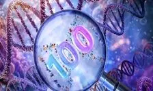 به ارث بردن دی‌ان‌ای نیاکان، راز صدساله شدن نوادگان

