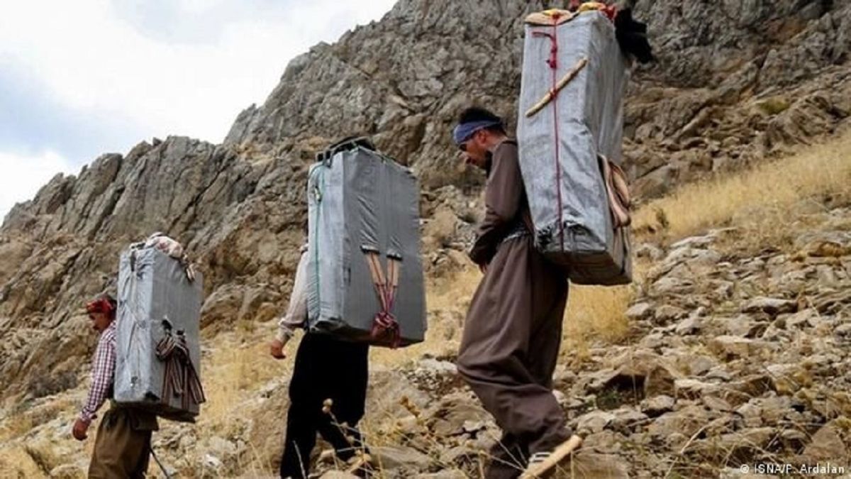موافقت مجلس با واردات رسمی کولبری و ته لنجی به مدت ۵ سال