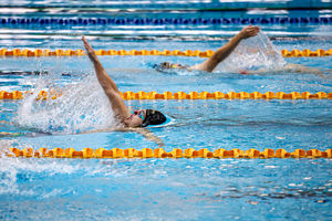 ششمین دوره مسابقات شنای مسافت بلند جام آزادی/ گزارش تصویری