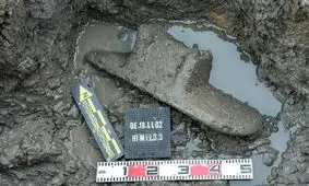 مردم جنوب شرق آسیا ۲۰۰۰ سال قبل ادویه کاری می‌خوردند!

