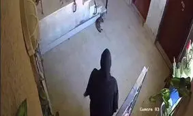 وقتی چوب خدا بر سر زن جوان فرود آمد؛ کارما فعال شد/ ویدئو 