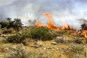 آتش‌سوزی در ارتفاعات کلاردشت