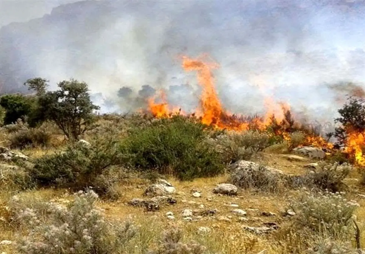 آتش‌سوزی در ارتفاعات کلاردشت