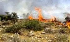 آتش‌سوزی در ارتفاعات کلاردشت