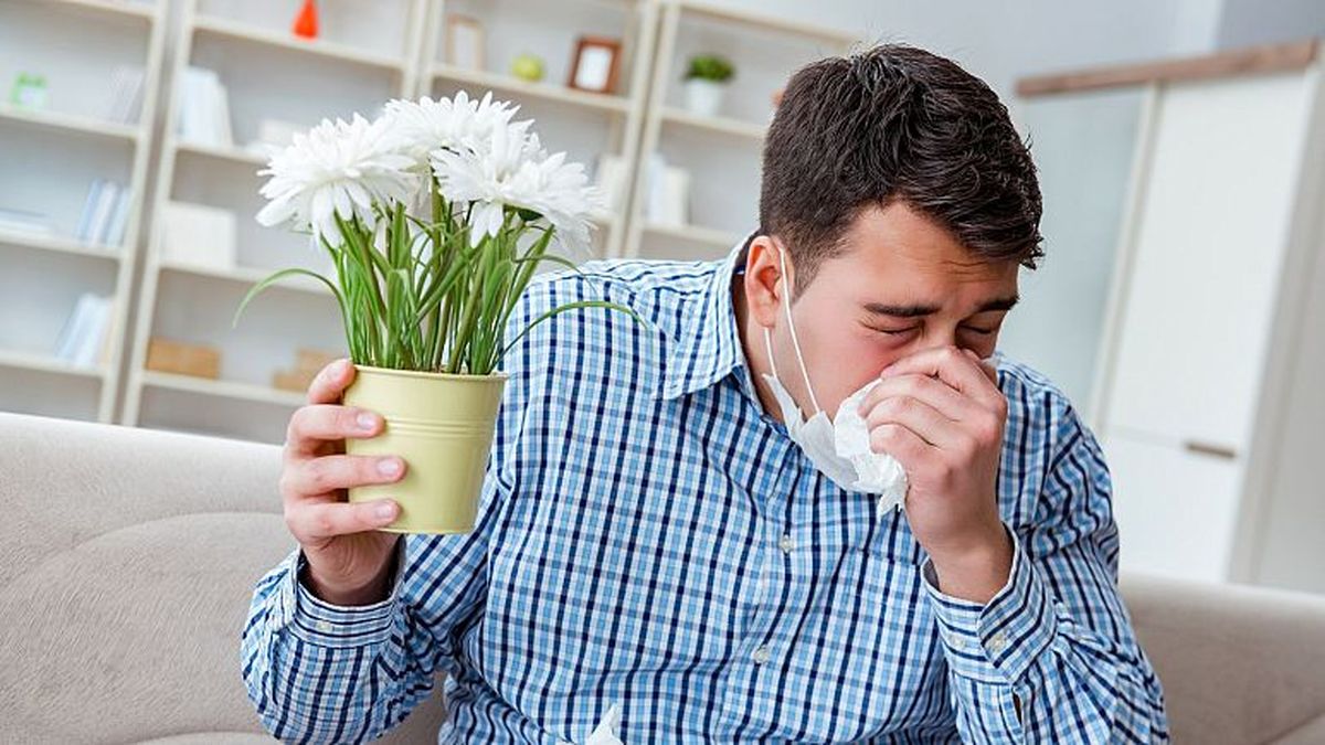 اپلیکیشن فرانسوی شناسایی گردههای معلق چگونه به حل مشکل آلرژی شما کمک می کند؟