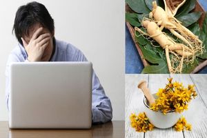 درمان خستگی مزمن با گیاهان دارویی