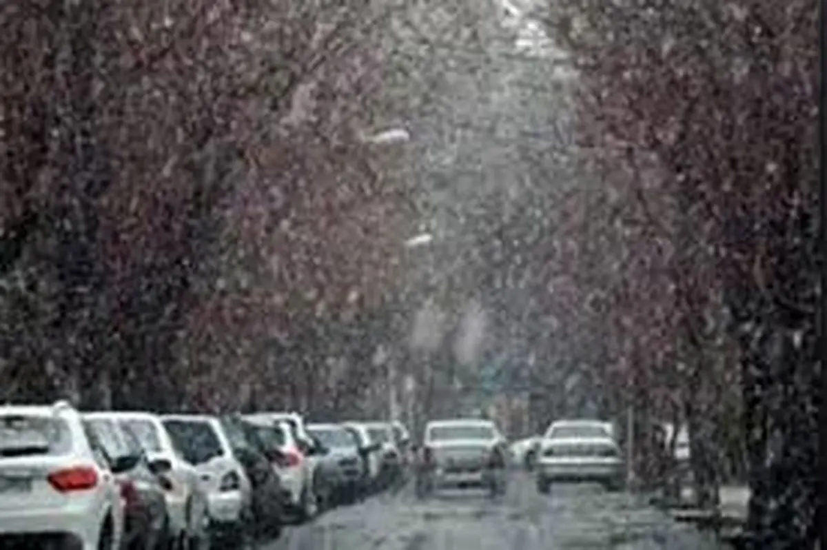 بارش برف جلوه‌ای زیبا به خیابان‌های آباده فارس داد/ ویدئو 